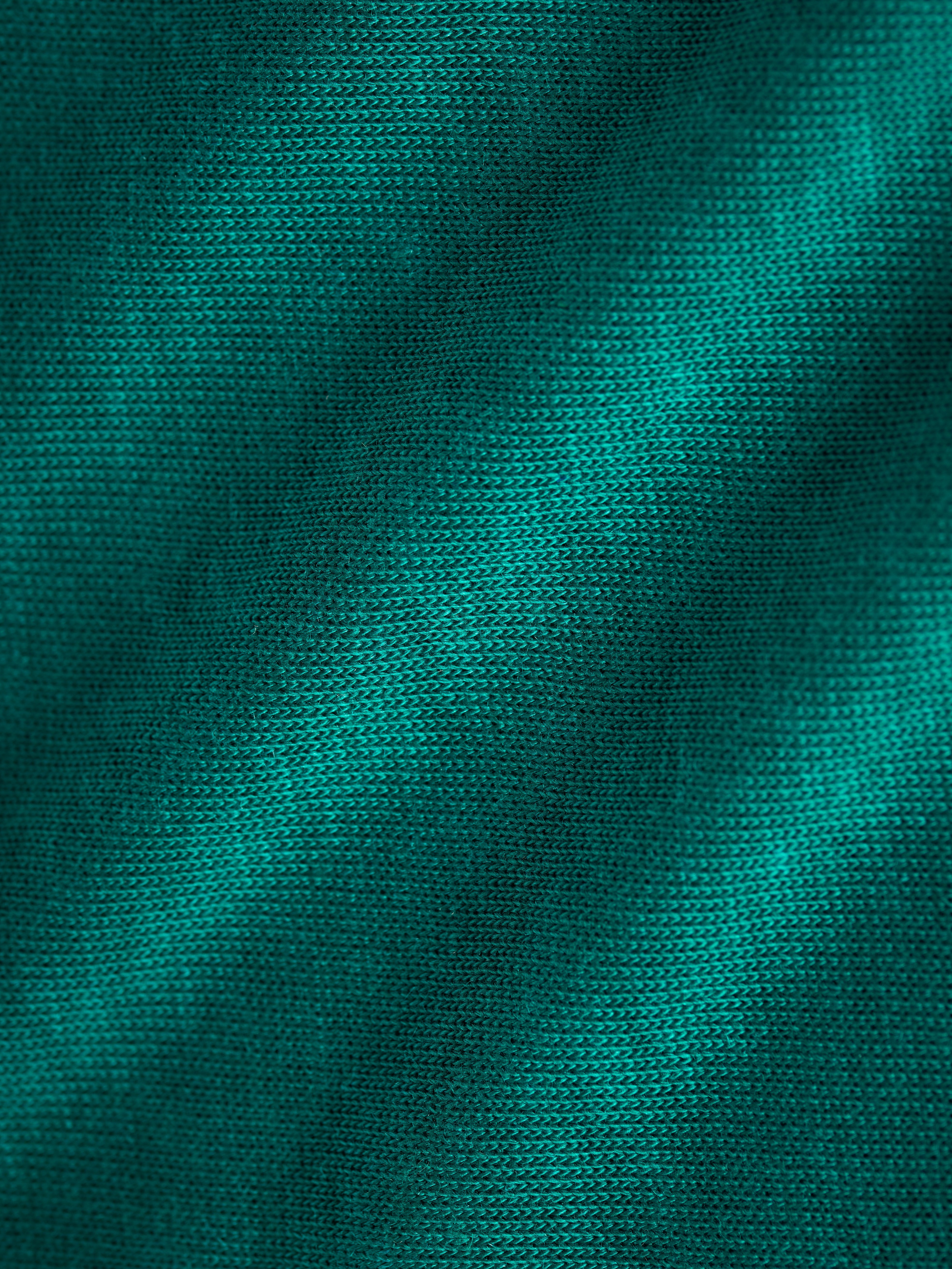 FRUTFIBER__Shorts_Scarab_Teal-6